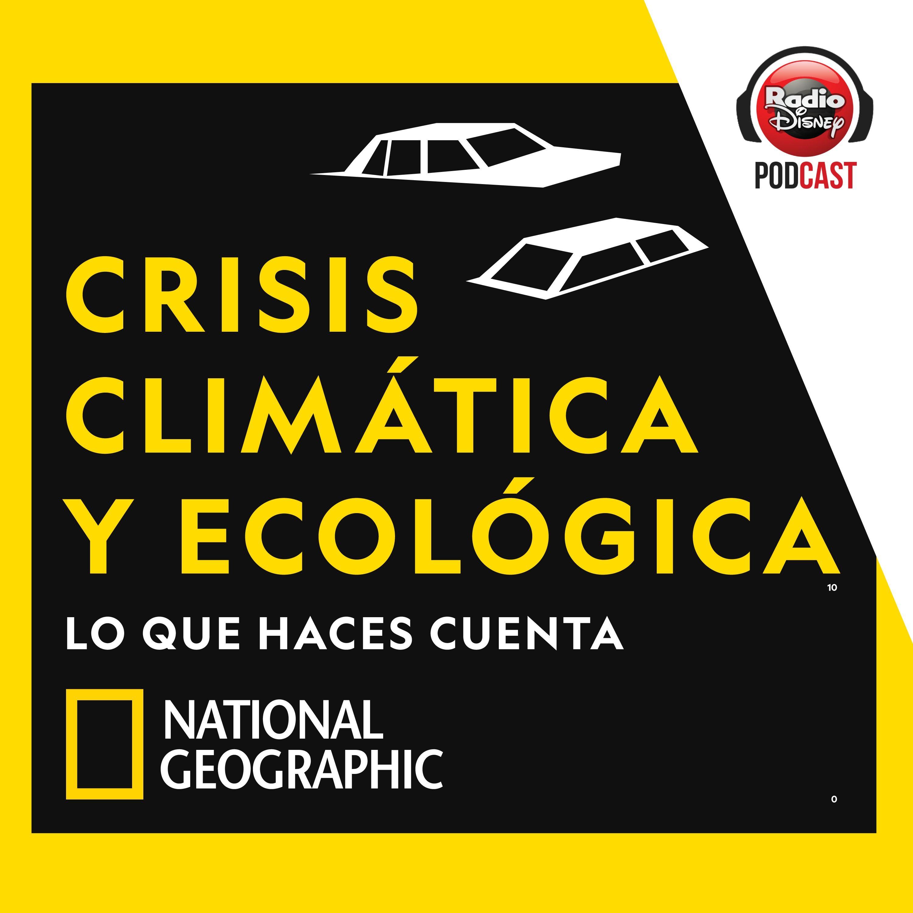 CRISIS CLIMÁTICA: El problemón ecológico